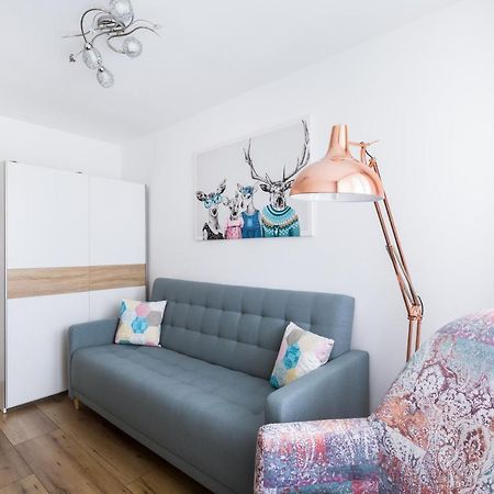 Apartament Stag Karkonosz - 2 Osobne Pokoje - 38M2 Jelenia Góra Exterior foto